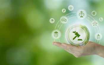 Challenges of Learning Management