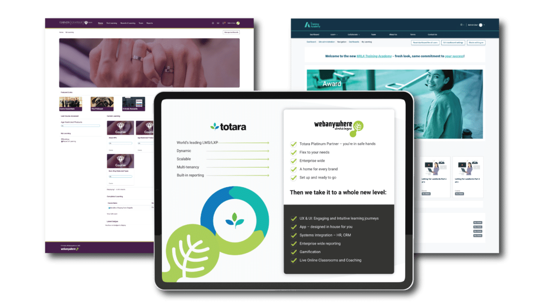 Bespoke LMS Development for Organisations